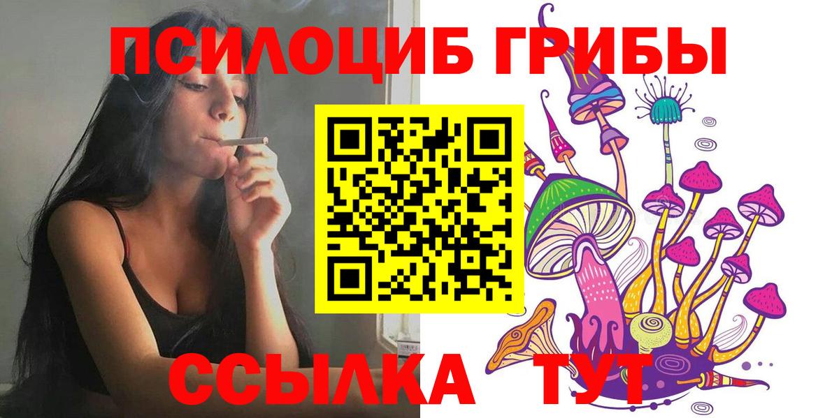 Галлюциногенные грибы мухоморы  Галлюциногенные грибы прущие грибы  Славгород  Вход с VPN 